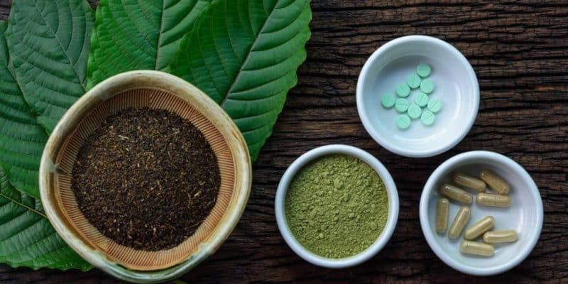 Kratom in different forms