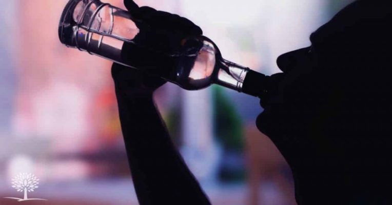 am-i-an-alcoholic-alcoholism-vs-casual-drinking-social-1024x536