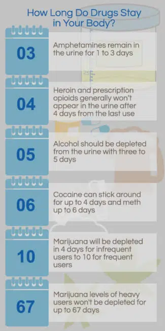 How Long Does THC Stay in Your System? - Point-of-care saliva